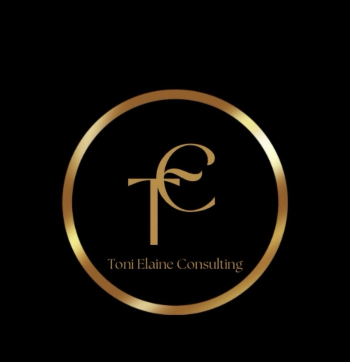 TE Consulting 